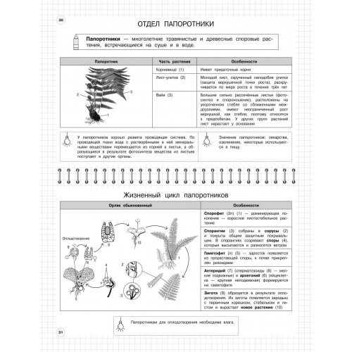 Биология: 5-11 классы