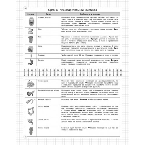 Биология: 5-11 классы