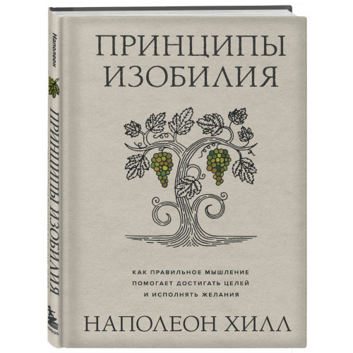 Принципы изобилия. Как правильное мышление помогает достигать целей и исполнять желания