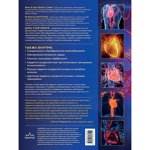 Сердечно-сосудистая система. Анатомия и физиология в покое и при физических нагрузках