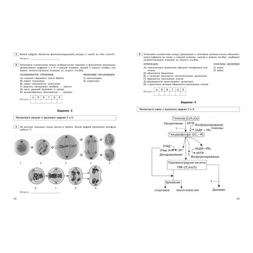 ЕГЭ-2024. Биология. Тематические тренировочные задания