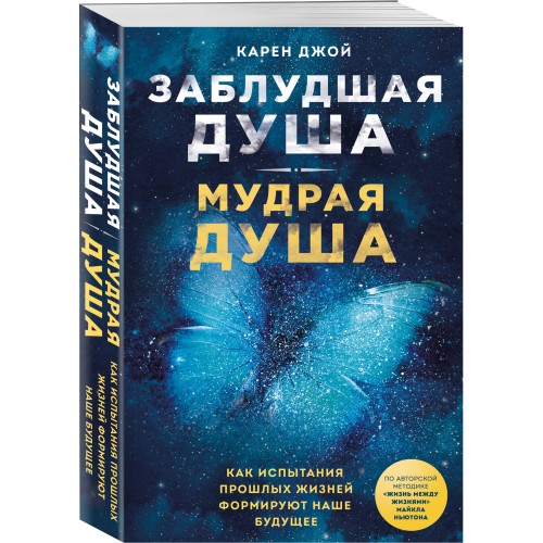 Заблудшая душа - мудрая душа. Как испытания прошлых жизней формируют наше будущее