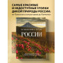 Путешествие к сердцу России. Альбом дикой природы от Белого моря до Камчатки