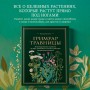 Гримуар травницы. Иллюстрированный справочник по сбору, заготовкам и полезным свойствам дикорастущих растений