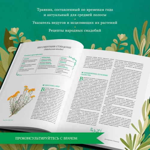 Гримуар травницы. Иллюстрированный справочник по сбору, заготовкам и полезным свойствам дикорастущих растений