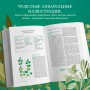 Гримуар травницы. Иллюстрированный справочник по сбору, заготовкам и полезным свойствам дикорастущих растений