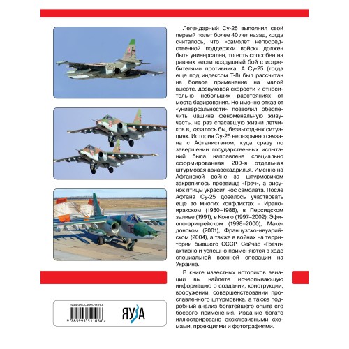 Су-25 «Грач». Все о легендарном штурмовике