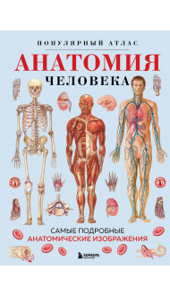 Анатомия человека. Популярный атлас. Самые подробные анатомические изображения