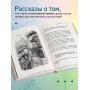 Танец стрекоз. Найди свою дорогу к счастью