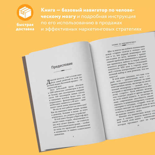 Тренинг по нейромаркетингу. Где находится кнопка "Купить" в сознании покупателя?