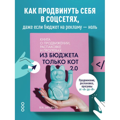 Из бюджета только кот 2.0