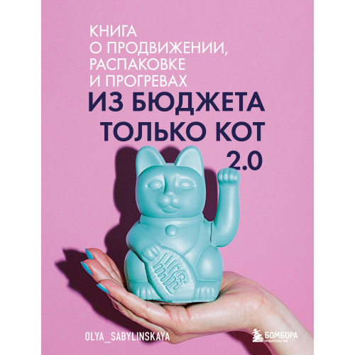 Из бюджета только кот 2.0