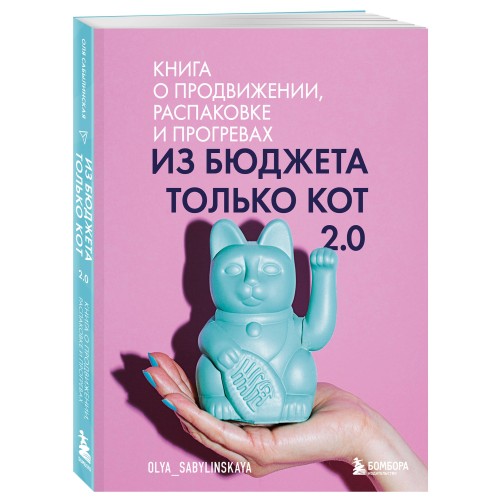 Из бюджета только кот 2.0