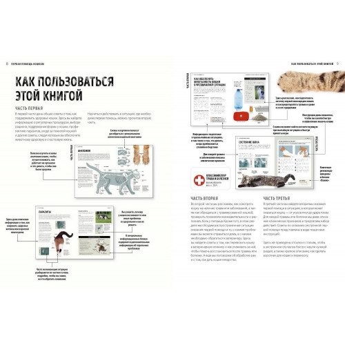 Первая помощь кошкам. Осмотр, действия в экстренных ситуациях, аптечка первой помощи, здоровье, корм