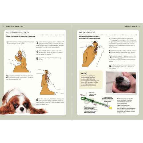 Первая помощь собакам. Осмотр, действия в экстренных ситуациях, аптечка первой помощи, социализация,