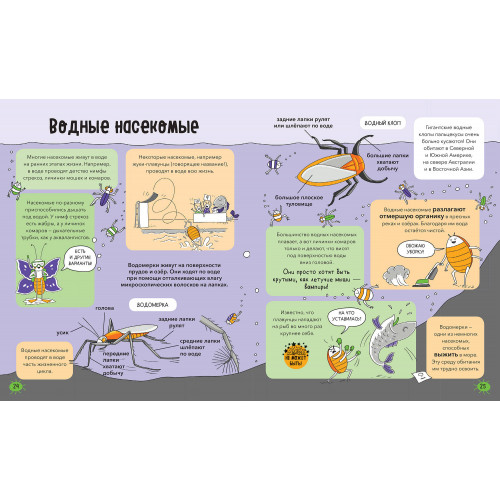 Насекомые и не только. От шмелей до навозных жуков: все ползуче-летучие факты, рекорды и достижения