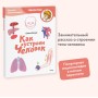 Как устроен человек. Детская энциклопедия (Чевостик) (Paperback)