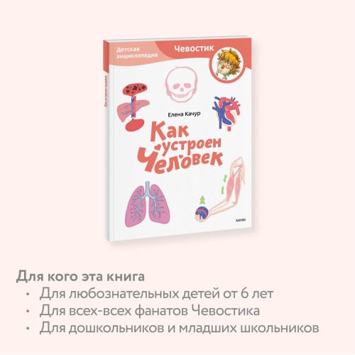 Как устроен человек. Детская энциклопедия (Чевостик) (Paperback)