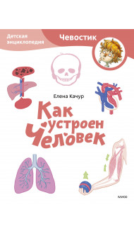 Как устроен человек. Детская энциклопедия (Чевостик) (Paperback)