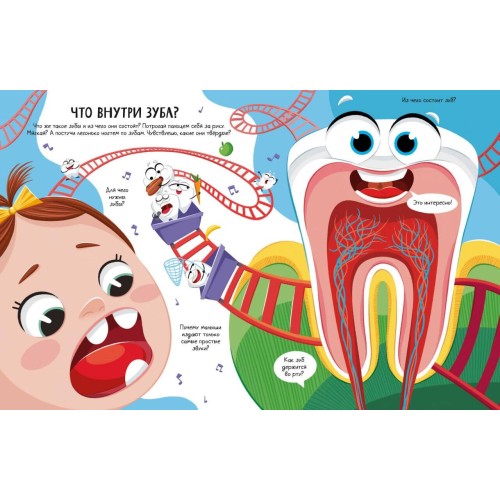 Всё о зубах. Открывай и изучай!